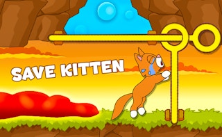 Cover image of Save kitten