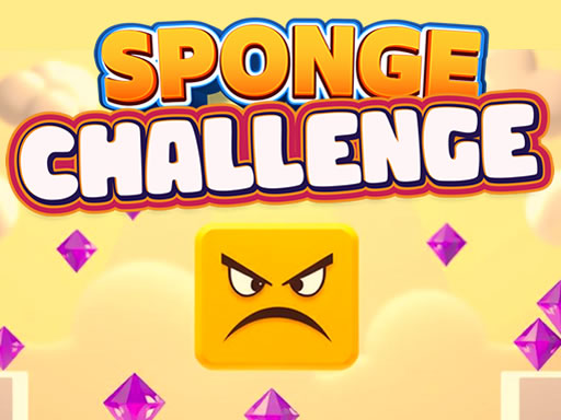 Cover image of Sponge Challenge