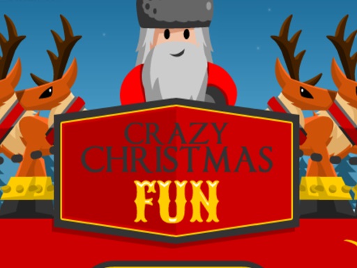 Cover image of Crazy Christmas Fun