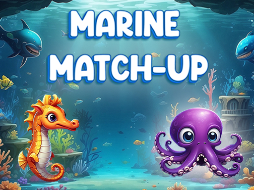 Cover image of Marine Match Up