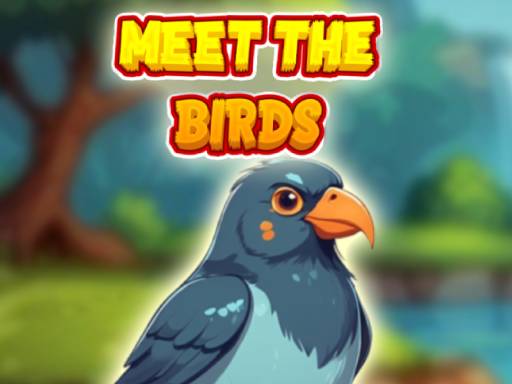 Cover image of Meet The Birds