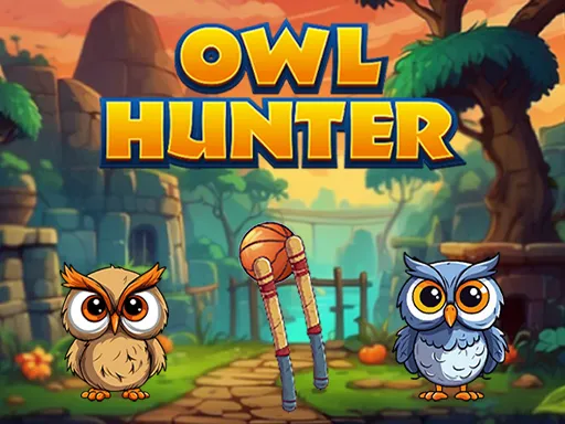 Cover image of Owl Hunter
