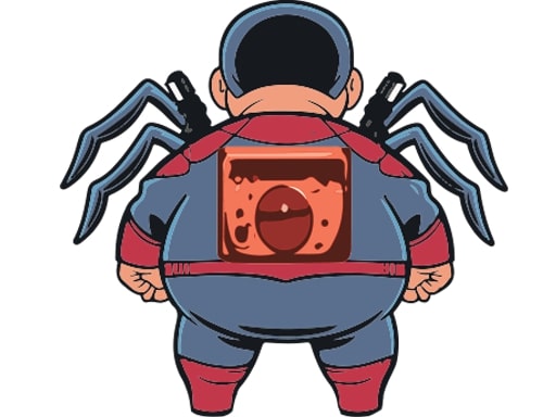 Cover image of Spider Boy