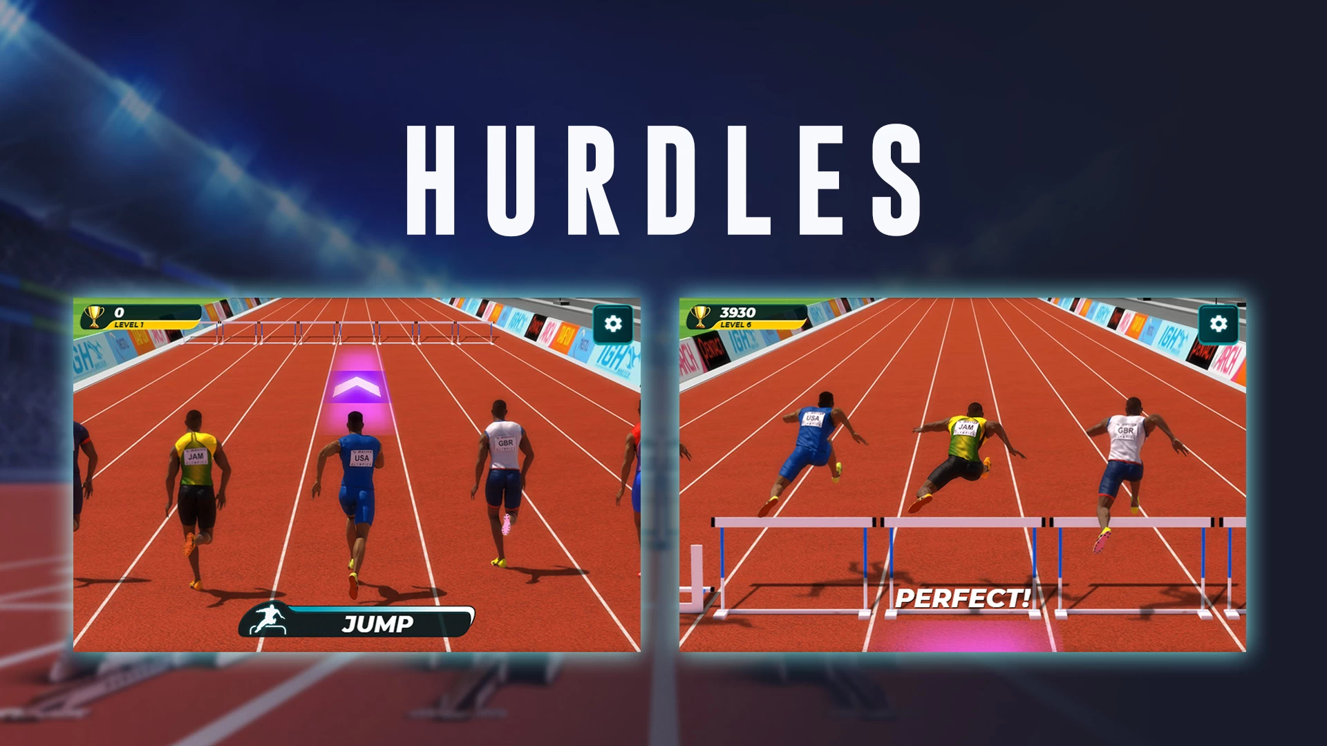 Cover image of Hurdles