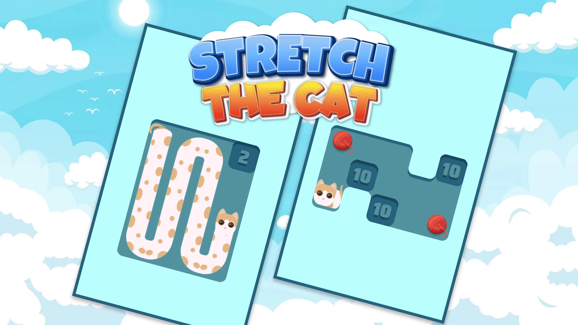 Cover image of Stretch The Cat