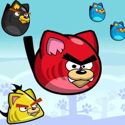 Cover image of Angry Purrs