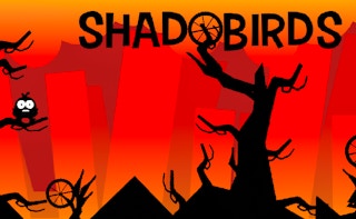 Cover image of Shadobirds