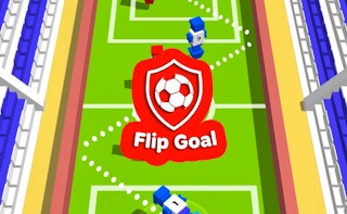 Cover image of Flip Goal