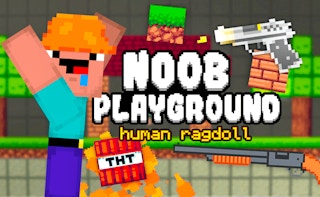 Cover image of Noob Playground