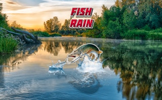 Cover image of Fish Rain