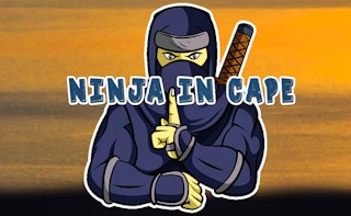 Cover image of Ninja in Cape