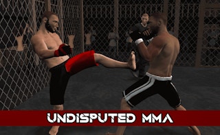 Cover image of Undisputed MMA