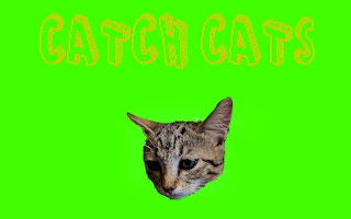 Cover image of Catch Cats