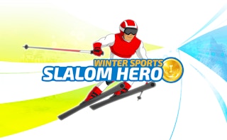 Cover image of Slalom Hero