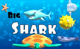 Cover image of Big Shark