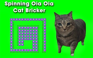 Cover image of Spinning Oia Oia Cat Bricker