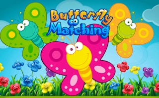 Cover image of Butterfly Matching